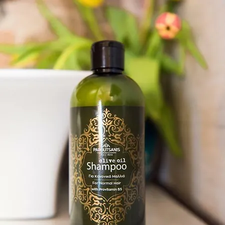 Spiti Lagis 別荘 *