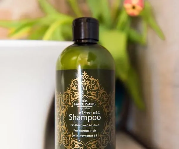 Spiti Lagis Дом отдыха *