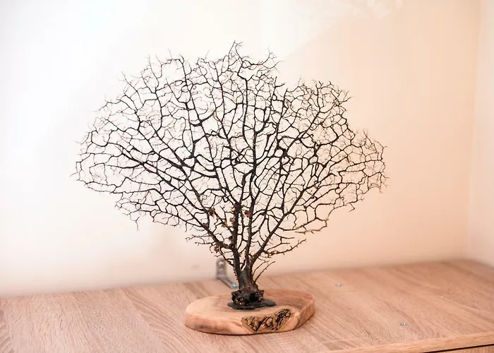 Spiti Lagis Дом отдыха